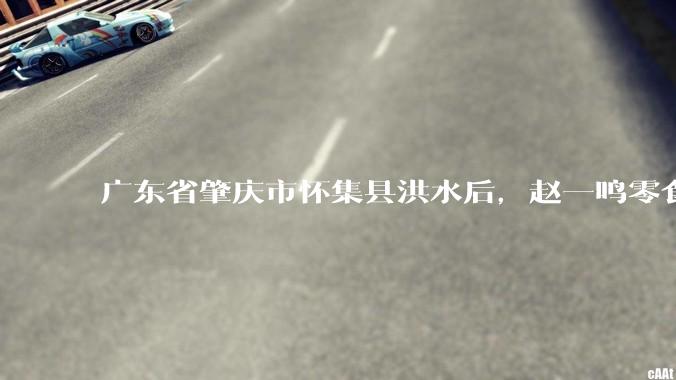 广东省肇庆市怀集县洪水后，赵一鸣零食店被哄抢，物资和收银机里面的几千块钱被哄抢一空，如何评价？